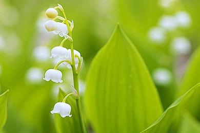 《战地6》愿望单激增10万 登顶Steam热门关注趋势榜